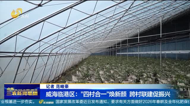 【推进乡村全面振兴】威海临港区：“四村合一”焕新颜 跨村联建促振兴
