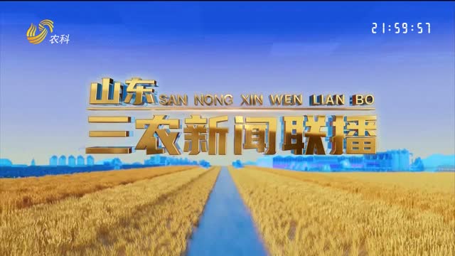 2026年02月08日山东三农新闻联播完整版