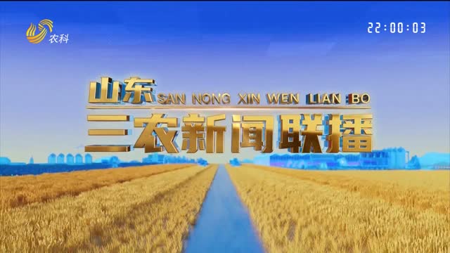 2026年02月09日山东三农新闻联播完整版