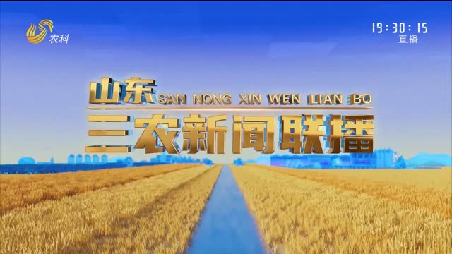2026年02月10日山东三农新闻联播完整版