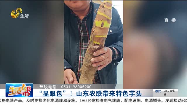 “显眼包”！山东农联带来特色芋头