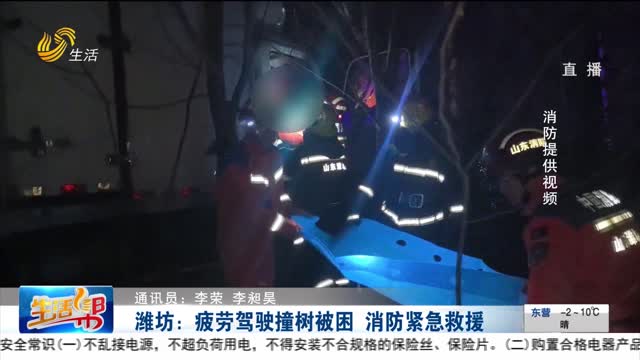 潍坊：疲劳驾驶撞树被困 消防紧急救援