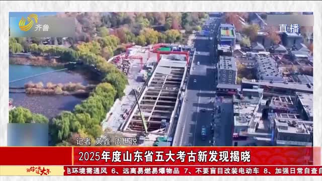 2025年度山东省五大考古新发现揭晓