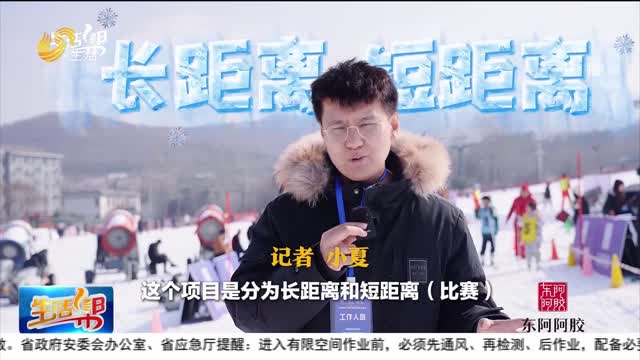 泰安：越野滑雪比赛开赛！山东的冰雪激情被全面点燃！