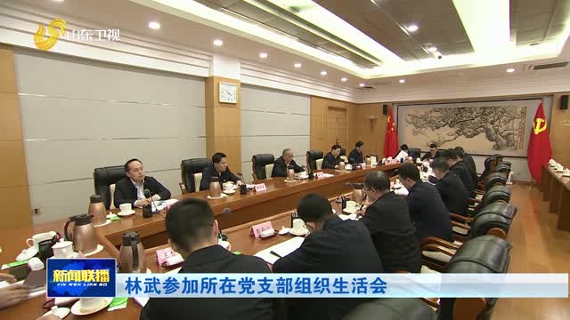 林武参加所在党支部组织生活会