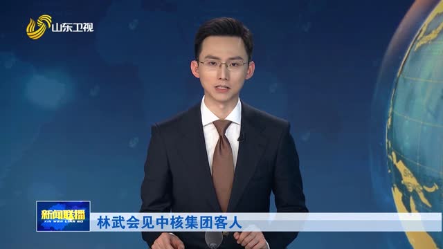 林武会见中核集团客人