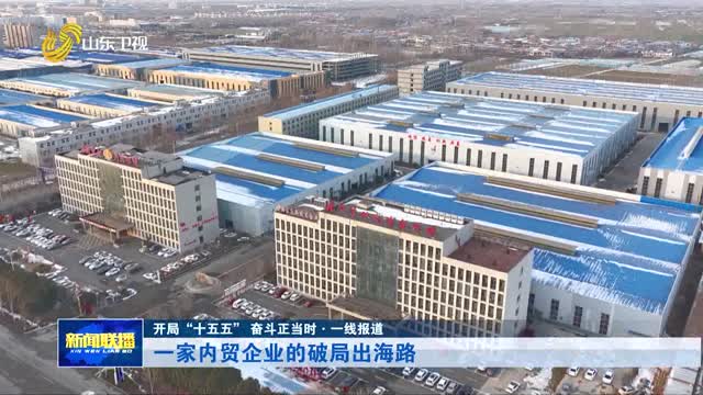 一家内贸企业的破局出海路【开局“十五五” 奋斗正当时·一线报道】