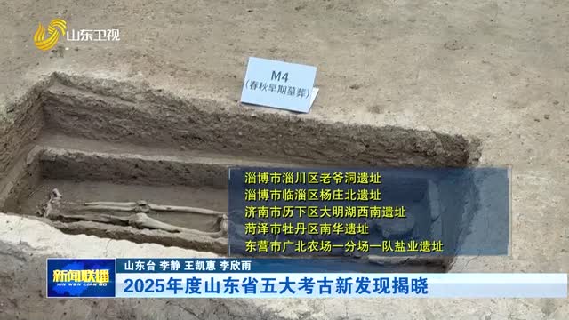 2025年度山东省五大考古新发现揭晓