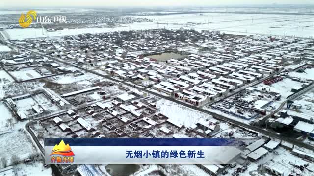 20260211《齐鲁先锋》：无烟小镇的绿色新生