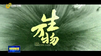 电视剧《生万物》今晚登陆山东卫视黄金剧场