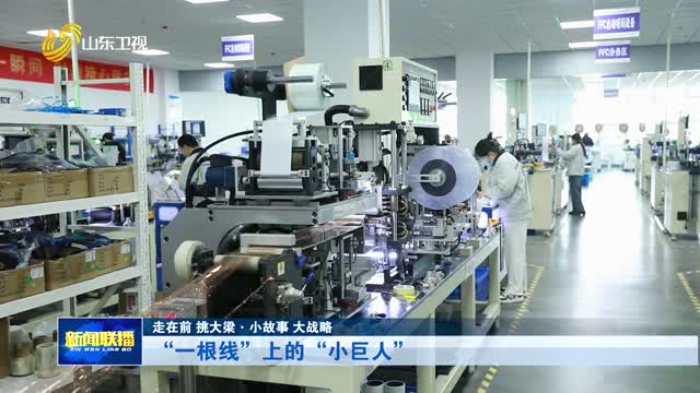 “一根线”上的“小巨人”【走在前 挑大梁·小故事 大战略】