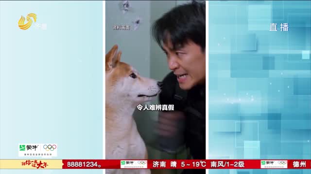 齐鲁时评：AI让周星驰“演”新戏？好玩别踩线 创作要有底线