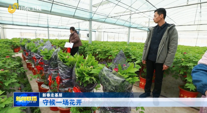 守候一场花开【新春走基层】