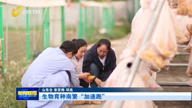 生物育种南繁“加速跑”【新春走基层】