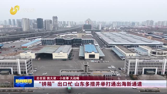 “拼箱”出口忙 山东多措并举打通出海新通道【走在前 挑大梁·小故事 大战略】