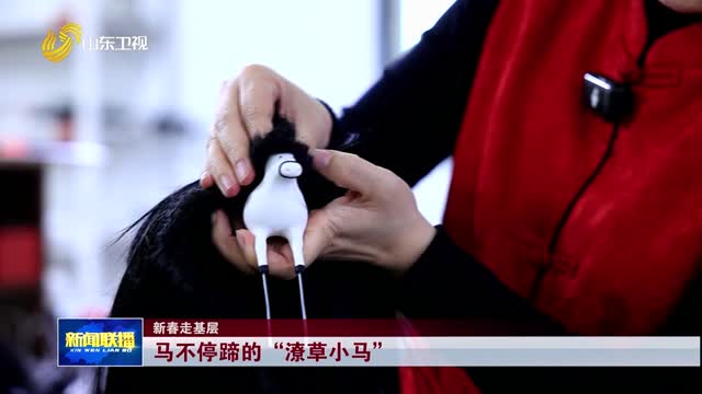 马不停蹄的“潦草小马”【新春走基层】