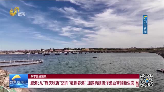 数字强省建设｜数字变革创新：威海——从“靠天吃饭”迈向“数据养海” 加速构建海洋渔业智慧新生态