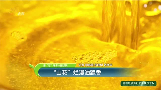 【用“芯”端牢中國飯碗】“山花”爛漫油飄香