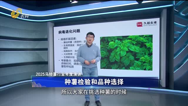 【“薯光”之路：你不了解的馬鈴薯——2025馬鈴薯行業年度演講】種薯檢驗和品種選擇