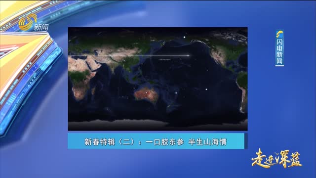 20260221《走进深蓝》：一口胶东参 半生山海情