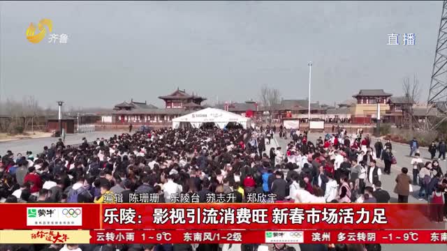 乐陵:影视引流消费旺 新春市场活力足