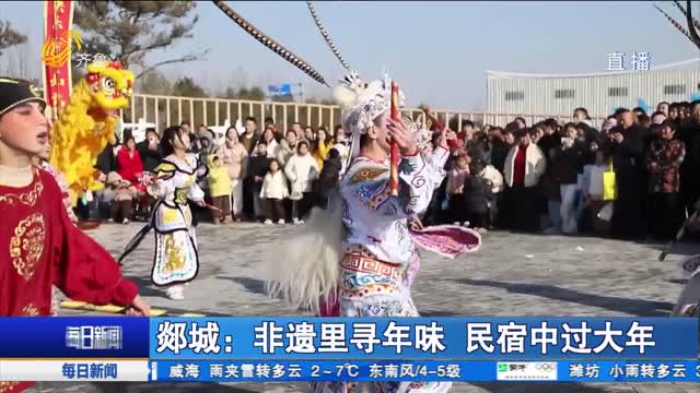 郯城：非遗里寻年味 民宿中过大年