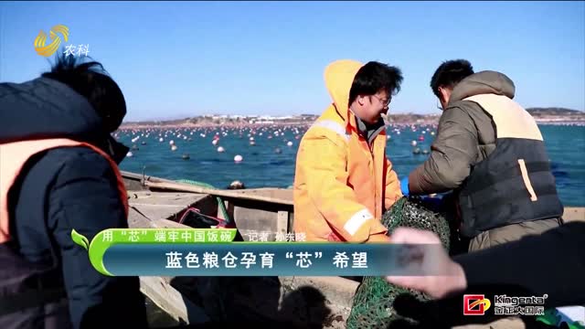 【用“芯”端牢中國飯碗】藍色糧倉孕育“芯”希望