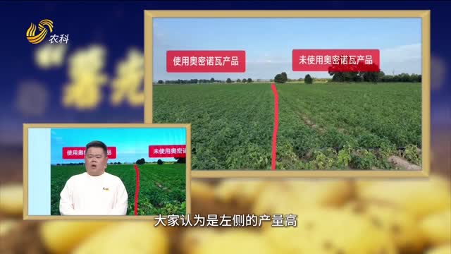 【“薯光”之路：你不了解的馬鈴薯——2025馬鈴薯行業年度演講】奧密諾瓦：助力雙減 不誤增產