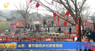 山东：春节期间乡村游受青睐
