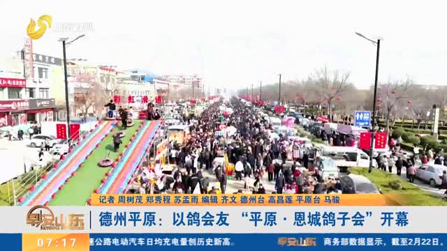 德州平原:以鸽会友 “平原·恩城鸽子会”开幕