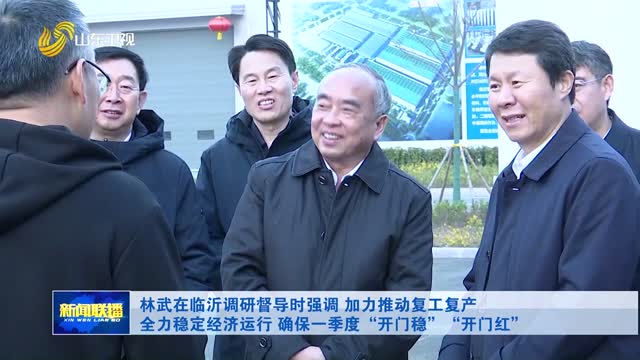 林武在臨沂調研督導時強調 加力推動複工複產 全力穩定經濟運行 確保一季度“開門穩”“開門紅”