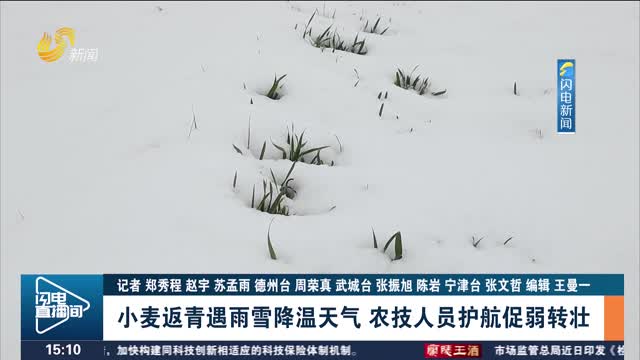 小麦返青遇雨雪降温天气 农技人员护航促弱转壮