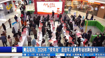 青岛城阳：2026年“荣军岗”退役军人春季专场招聘会举办