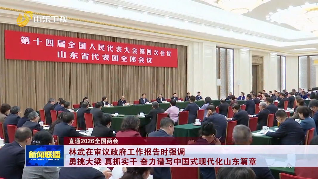 林武在审议政府工作报告时强调 勇挑大梁 真抓实干 奋力谱写中国式现代化山东篇章【直通2026全国两会】