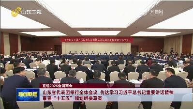 山东省代表团举行全体会议 传达学习习近平总书记重要讲话精神 审查“十五五”规划纲要草案【直通2026全国两会】