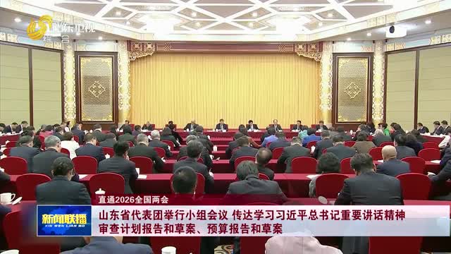 山东省代表团举行小组会议 传达学习习近平总书记重要讲话精神 审查计划报告和草案、预算报告和草案【直通2026全国两会】