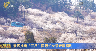 多地景区推出“三八”国际妇女节专属福利
