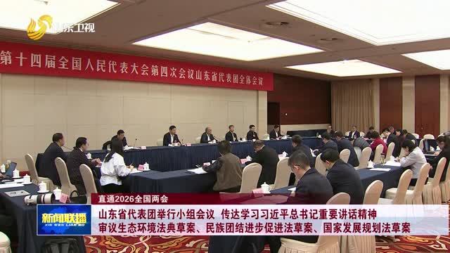 山东省代表团举行小组会议 传达学习习近平总书记重要讲话精神 审议生态环境法典草案、民族团结进步促进法草案、国家发展规划法草案【直通2026全国两会】
