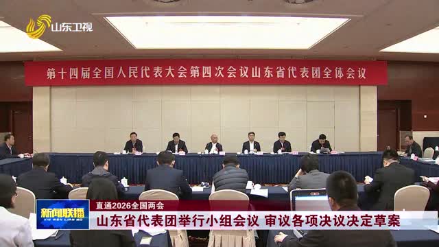 山东省代表团举行小组会议 审议各项决议决定草案 【直通2026全国两会】