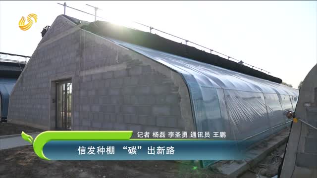 信发种棚 “碳”出新路