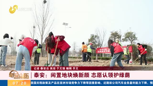 泰安：闲置地块焕新颜 志愿认领护绿荫