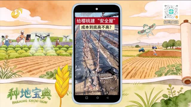 给樱桃建“安全屋” 成本到底高不高？