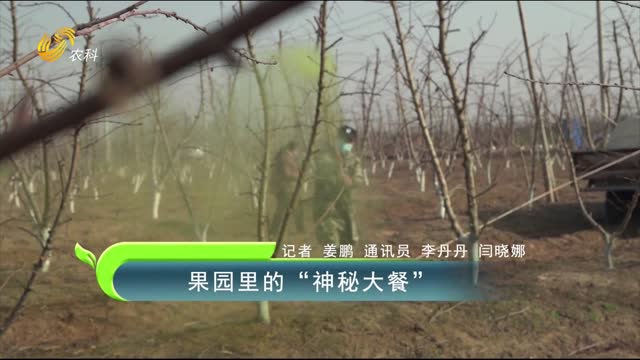 果园里的“神秘大餐”