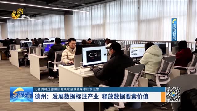 德州：发展数据标注产业 释放数据要素价值