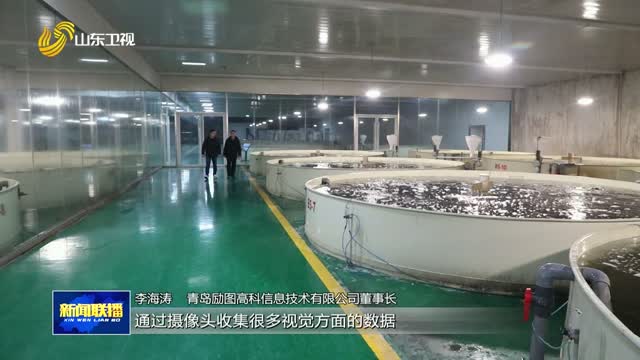 AI养鱼 效益倍增【强信心 稳经济 促发展】