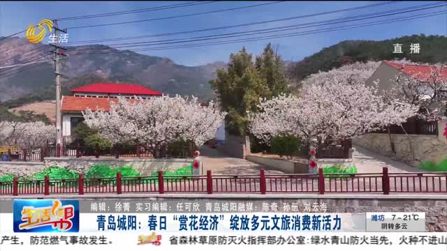 青岛城阳：春日“赏花经济”绽放多元文旅消费新活力