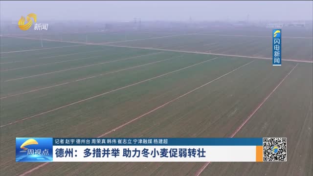 德州：多措并举 助力冬小麦促弱转壮