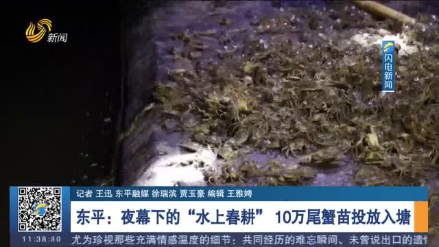 东平：夜幕下的“水上春耕” 10万尾蟹苗投放入塘