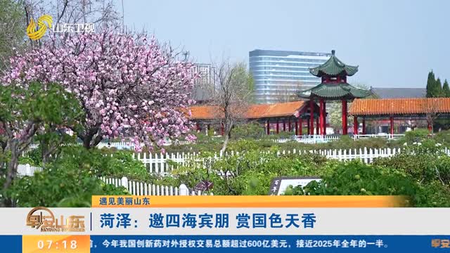【遇见美丽山东】菏泽：邀四海宾朋 赏国色天香