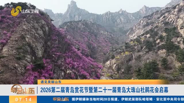 【遇见美丽山东】2026第二届青岛赏花节暨第二十一届青岛大珠山杜鹃花会启幕